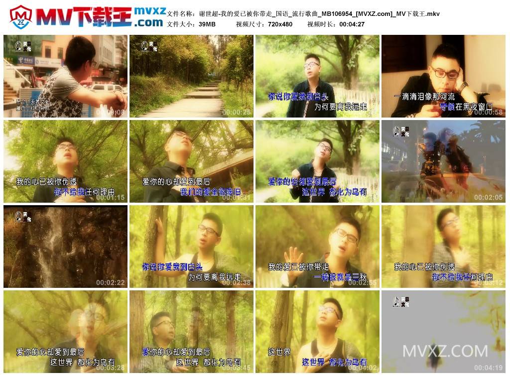 谢世超-我的爱已被你带走_国语_流行歌曲_MB106954
